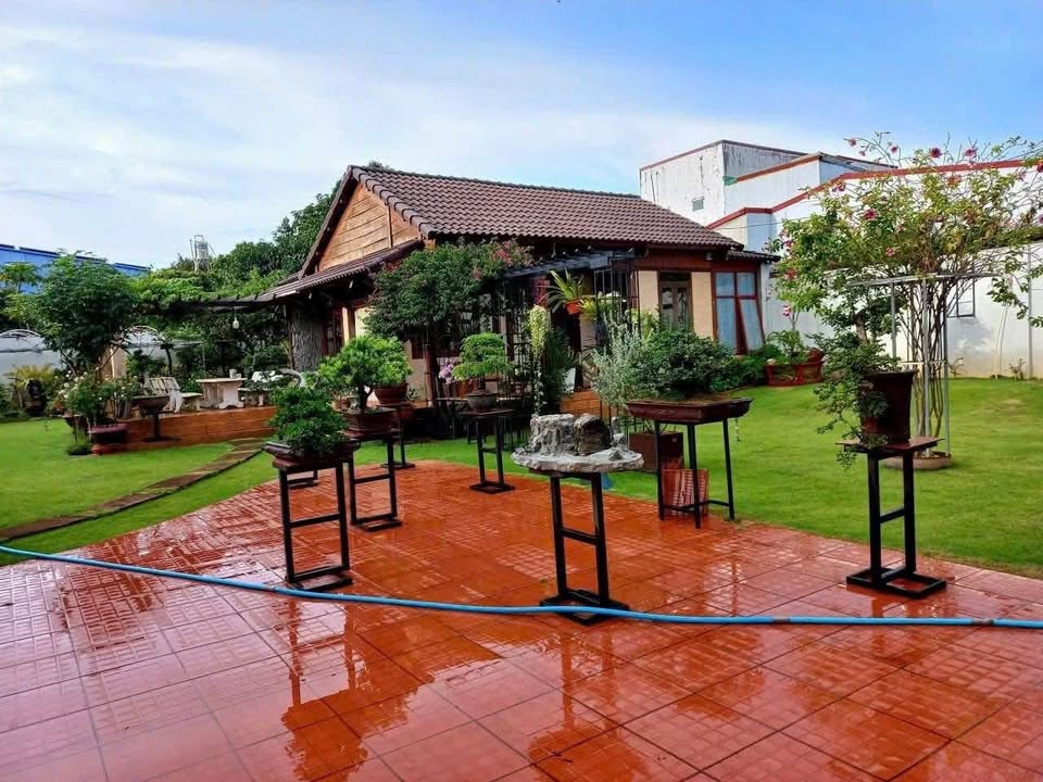 Nhà cho thuê khu Phạm Ngũ Lão, Đà Lạt 962m² giá 15 triệu - Sân vườn rộng rãi, lý tưởng nghỉ dưỡng!