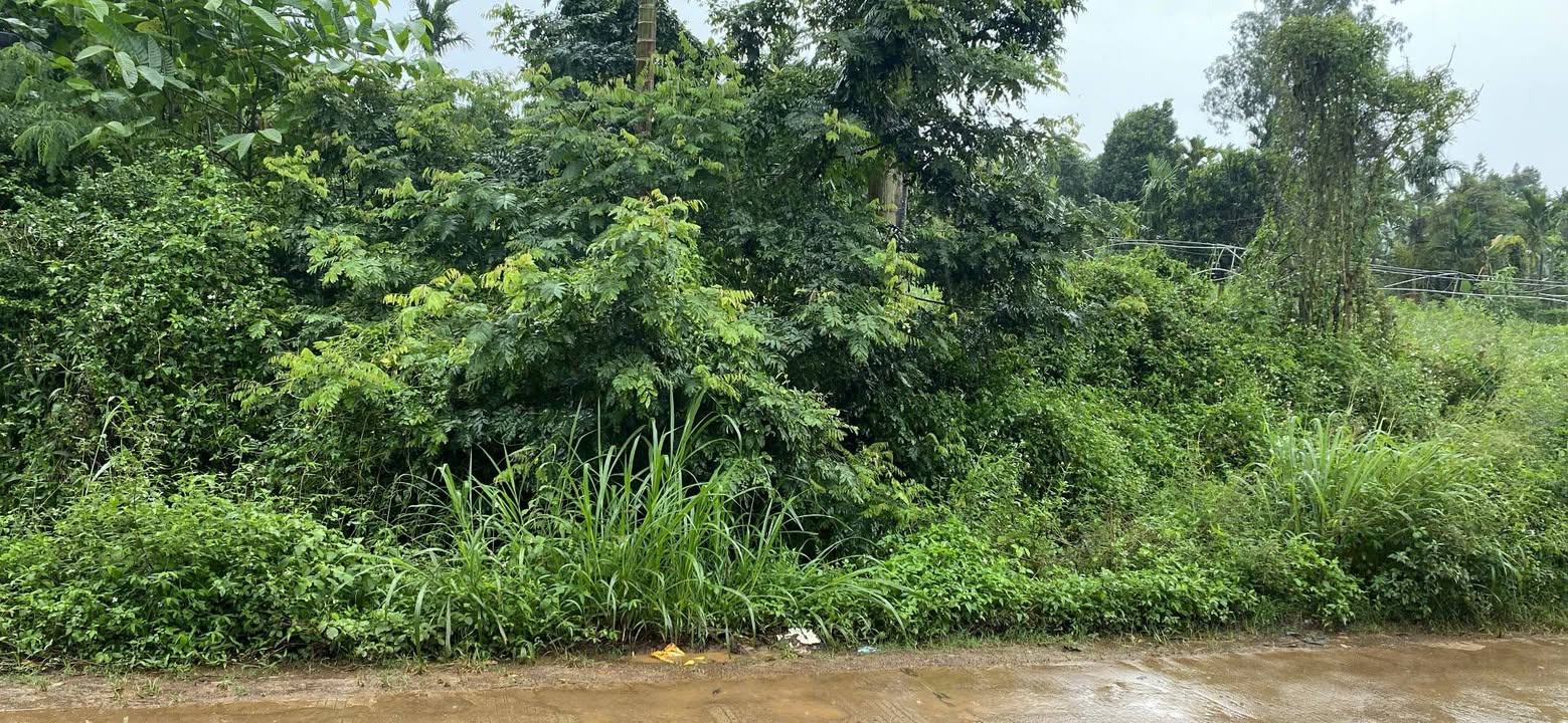 Đất nền Hòa Thắng, Buôn Ma Thuột 60m² giá 900 triệu - Đầu tư sinh lời ngay!