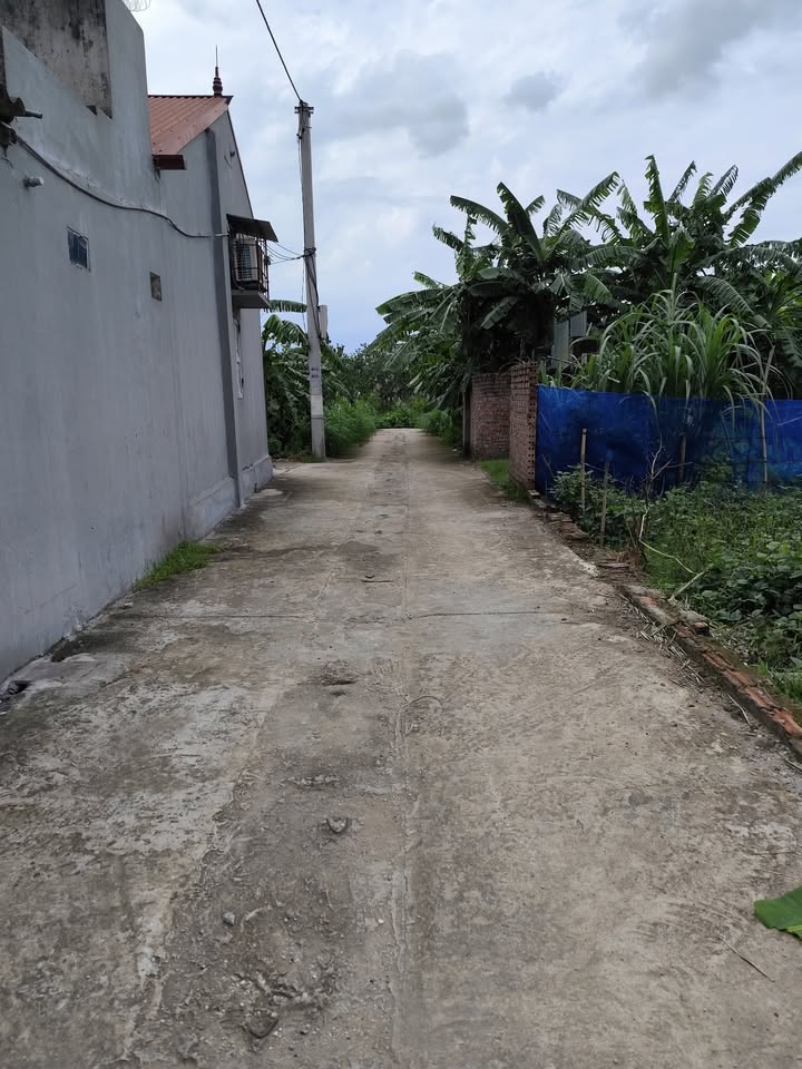 Đất nền Hòa Phú, 119m² giá 2 tỷ - Sổ đỏ chính chủ sang tên ngay!