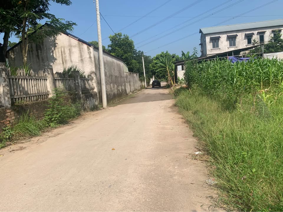 Đất Đạo Tú, Tam Dương 300m² giá 4.65 tỷ - Cơ hội đầu tư hấp dẫn!