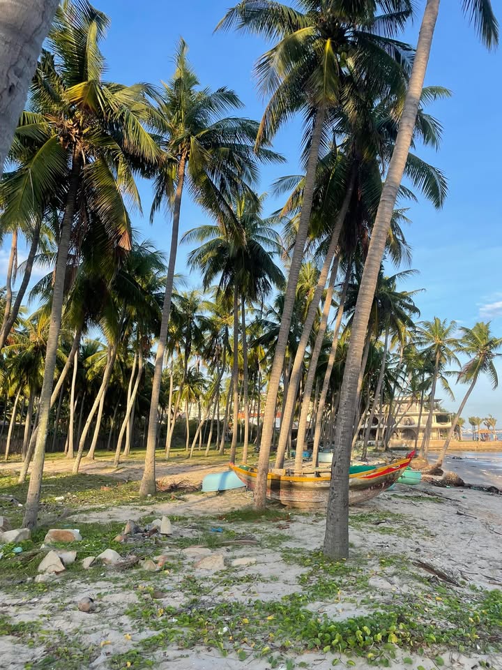 Homestay Mũi Né 2000m² giá 20 tỷ - Cơ hội đầu tư sinh lời cao!