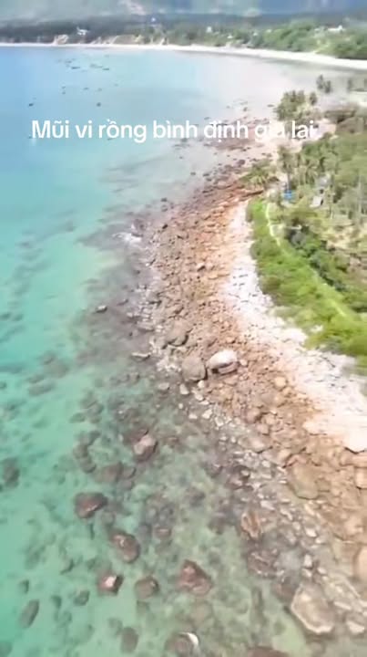 Đất nền biển Mũi Vi Rồng, Mỹ Thọ, Phù Mỹ 140m² giá 1.99 tỷ - Cơ hội đầu tư hấp dẫn!