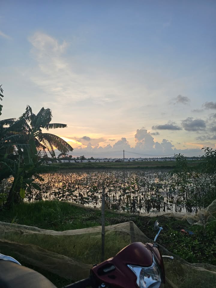 Đất nền 250m² phường Quảng Đông, Thanh Hóa - Chính chủ bán nhanh, giá cực hấp dẫn!