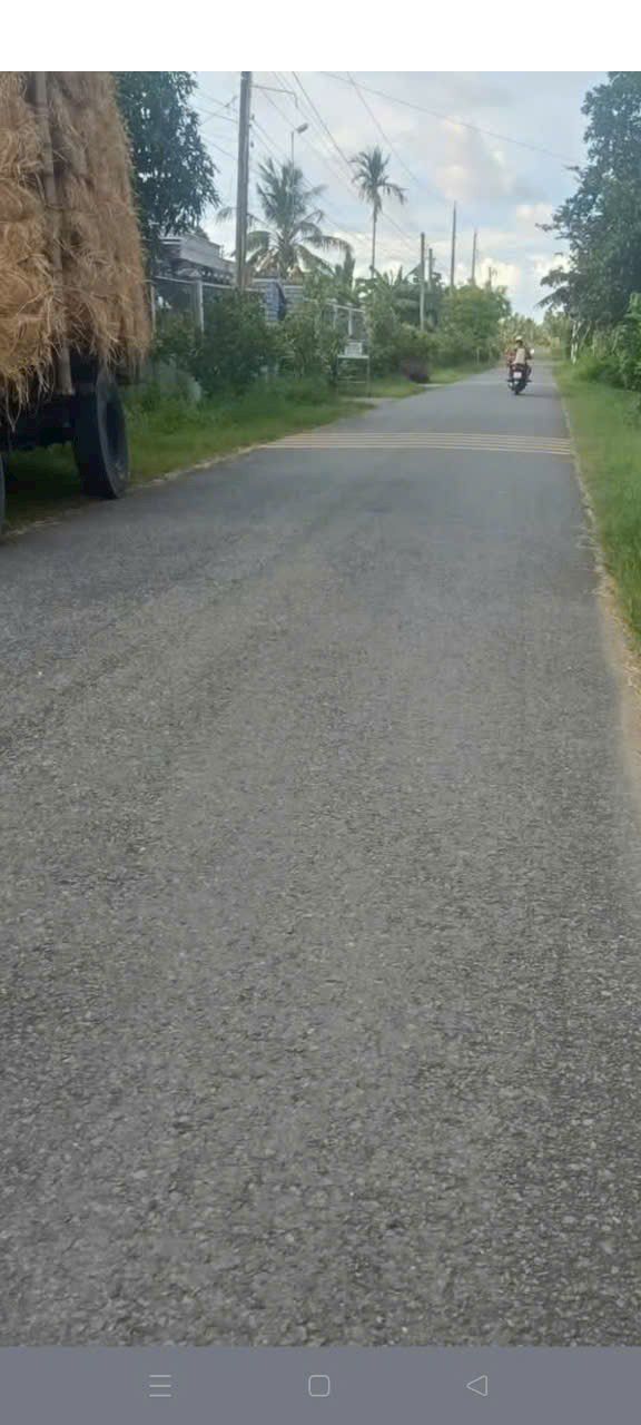 Đất mặt tiền đường nhựa Mỹ Hòa, Ba Tri, Bến Tre 311m² - Giá chỉ 620 triệu!