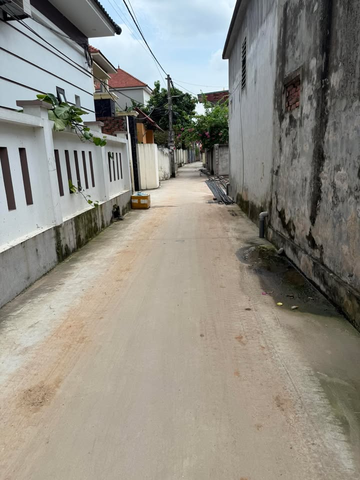 Lô đất đẹp tại Thanh Lâm, Mê Linh 96m² chỉ 300 triệu - Đầu tư sinh lời cao!