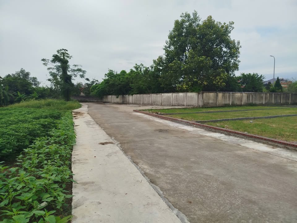 Đất nền thổ cư 190m² tại thị trấn Thắng, Hiệp Hòa - Giá chỉ 800 triệu VND!