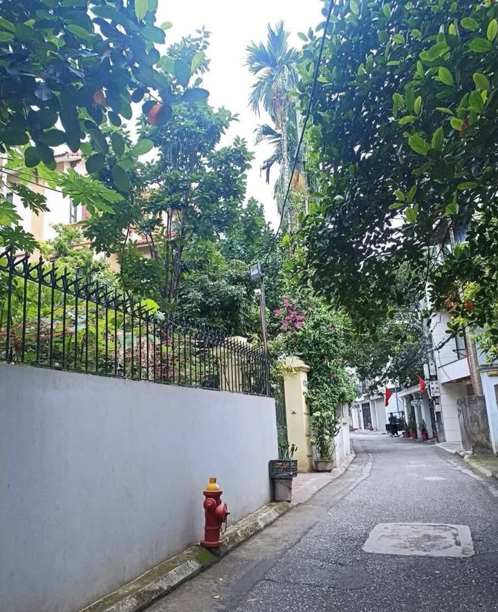 Biệt thự Ngọc Thụy Long Biên 313m² giá 51 tỷ - Sân vườn thoáng mát, ô tô vào nhà!