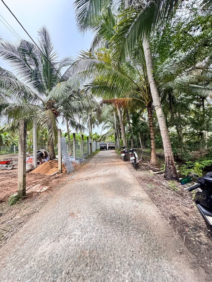 Farm đất Thạnh Ngãi, Mỏ Cày Bắc, Bến Tre 3624m² giá 4.1 tỷ - Đầu tư sinh lời lý tưởng!