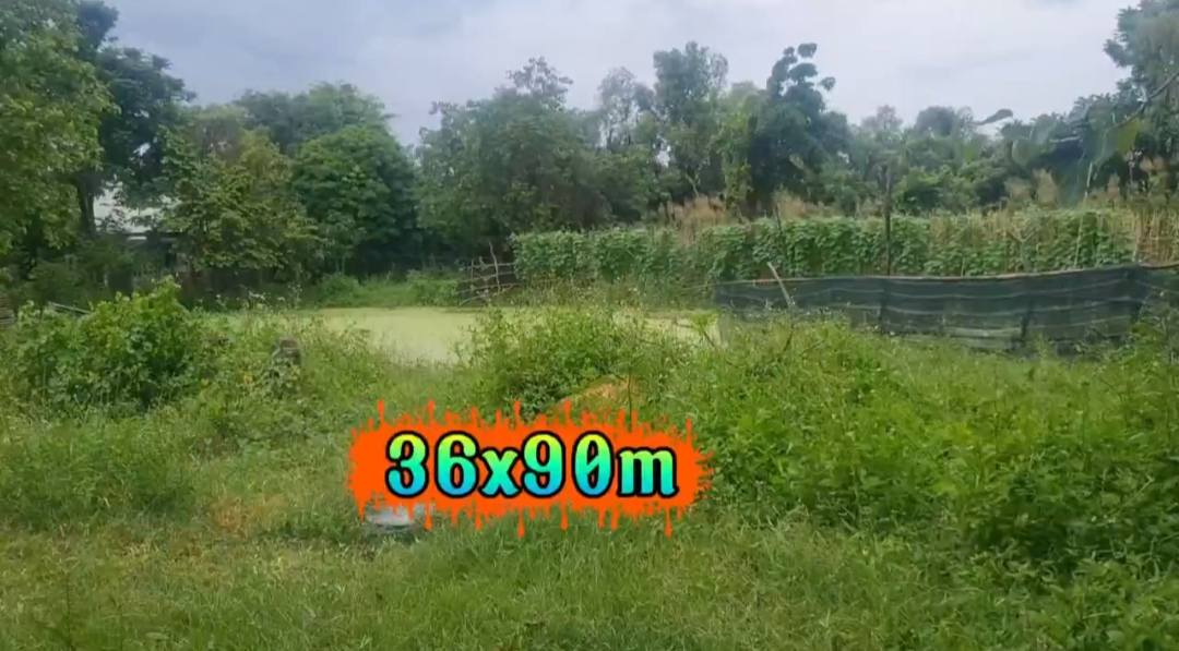 Đất vườn 2.800m² mặt tiền đường 12 và sông Long Thới - Giá chỉ 21 tỷ!