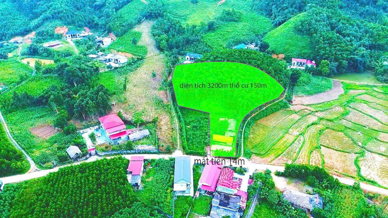 Đất nền cùng nhà gỗ đẹp tại Minh Hòa, Yên Lập 3200m² giá 1.9 tỷ - Đầu tư sinh lời ngay!