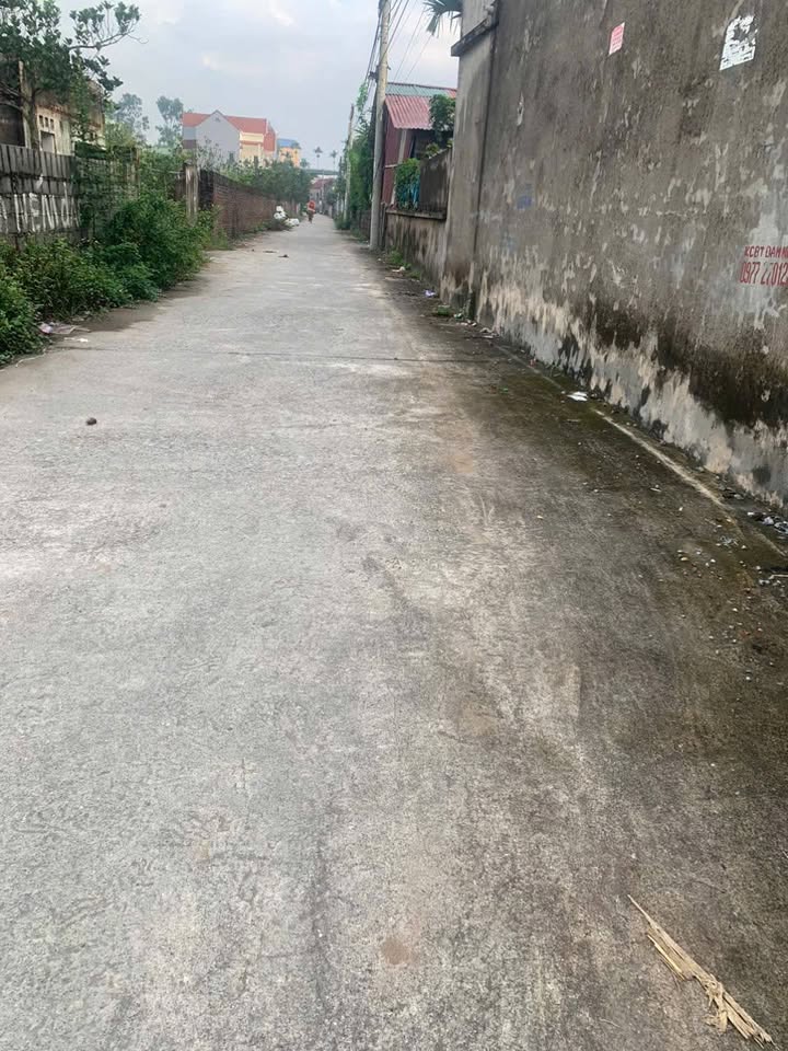 Nhà cấp 4 Lương Hội, Hưng Yên 99m² giá 2 tỷ - Cơ hội đầu tư không thể bỏ lỡ!