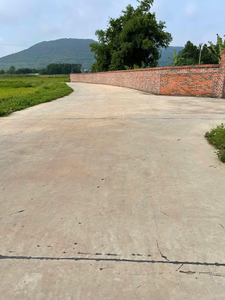 Đất nền chính chủ tại đường Lê Lợi, Chí Linh, Hải Dương - Diện tích 308m², giá chỉ 1 tỷ!