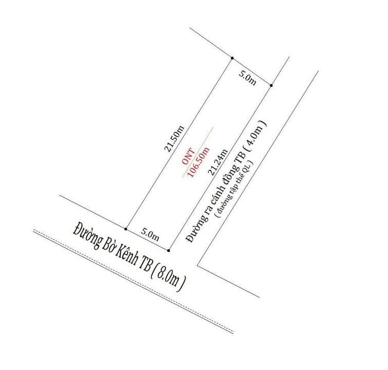 Đất nền Tiên Lãng 136m² giá 1.2 tỷ - Đầu tư sinh lời ngay!