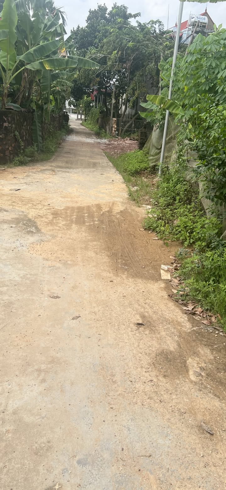 Đất nền KDC Tiên Nha Lục Nam 100m² giá chỉ 600 triệu - Đầu tư sinh lời ngay!