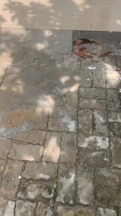 Nhà cho thuê mặt tiền Khuê Trung, Đà Nẵng 2 tầng giá 8 triệu/tháng - Phù hợp cho gia đình!