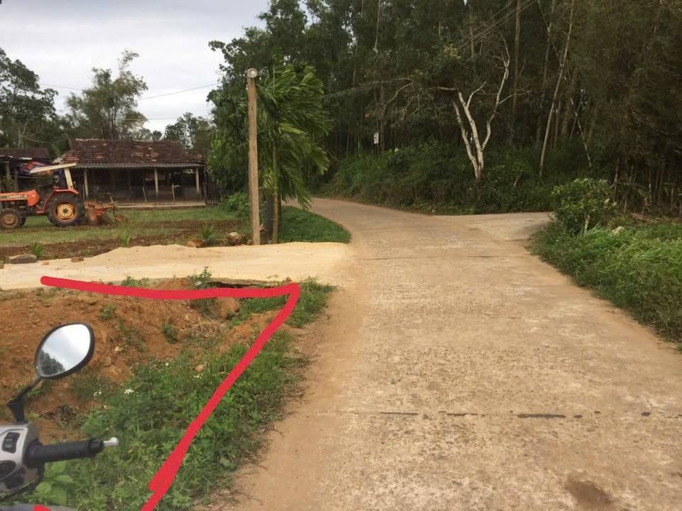 Đất mặt tiền Lộc Tự, Bình Hoà, 238m² giá 580 triệu - Đầu tư sinh lời ngay!