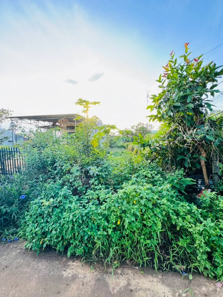 Đất hẻm chính đường Lý Chính Thắng, Pleiku 154m² giá 900 triệu - Đầu tư sinh lời ngay!