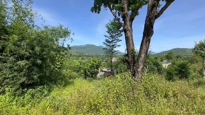 Đất Farm 3400m² xã Phú Mãn, Quốc Oai - Tiềm năng xây homestay tuyệt đẹp!