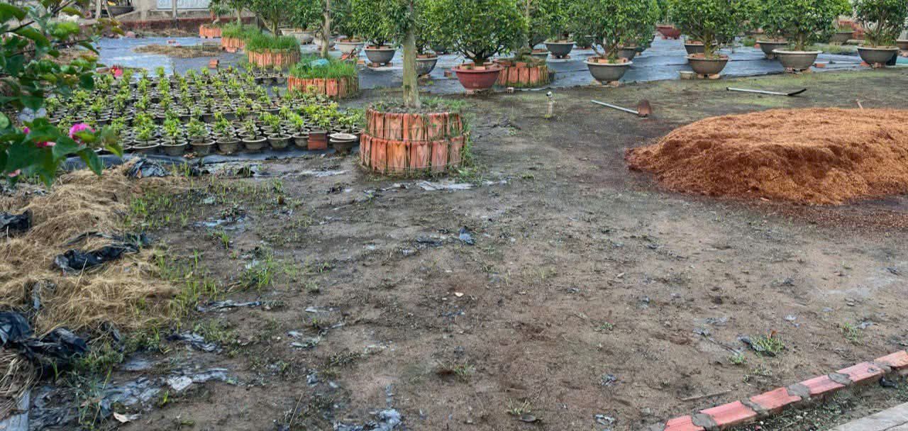 Đất Vĩnh Thành Chợ Lách 1000m² giá 620 triệu - Bán gấp do cần tiền