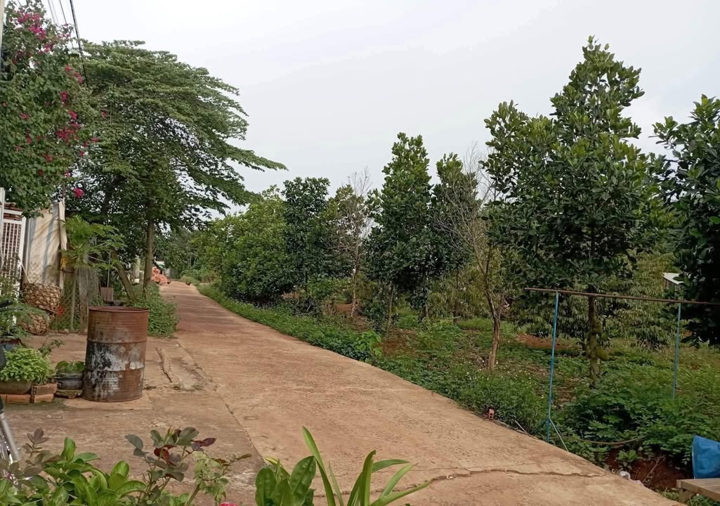 Nhà Phước Lộc, Phước Long 150m² giá 620 triệu - Chính chủ cần bán gấp!