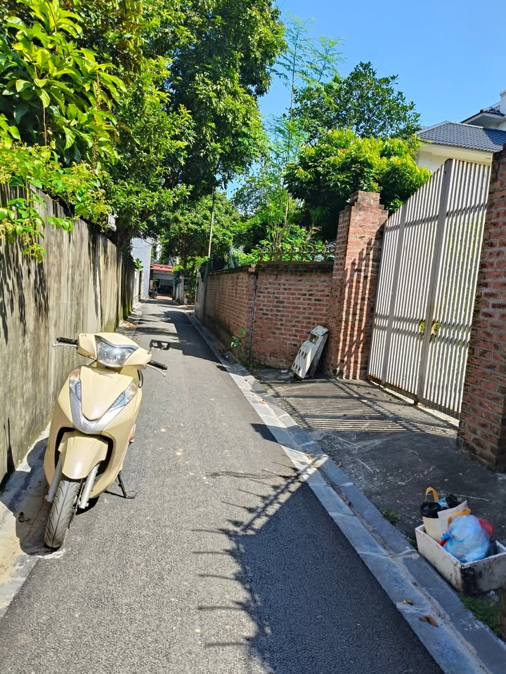 Đất thổ cư Thôn Trung, Việt Hùng, Đông Anh 560m² - Phân lô hoặc xây nhà vườn lý tưởng!