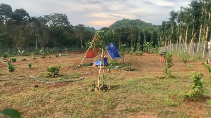 Đất thổ cư 80m² tại Quảng Thành - View đồi núi tuyệt đẹp, giá thỏa thuận!