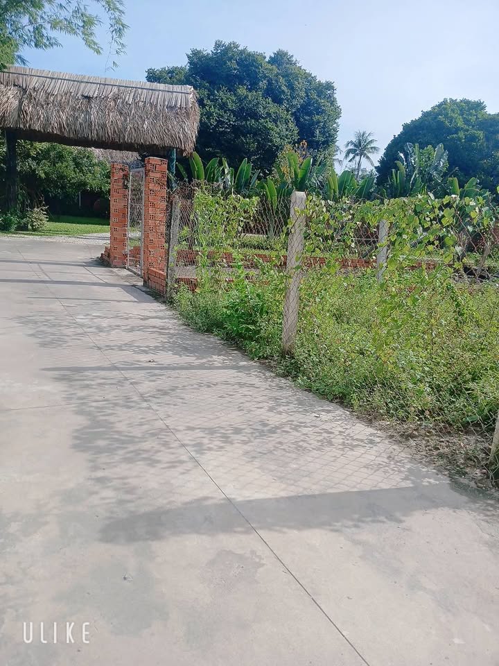 Đất nền chính chủ Phường 3, TP Tây Ninh 100m² - Sổ đỏ, giá chỉ 1 tỷ!