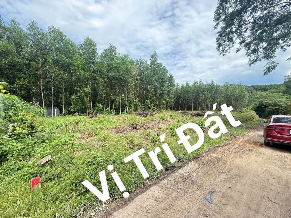 Đất thổ cư Khánh Đông 110m² giá 150 triệu - Sổ đỏ chính chủ