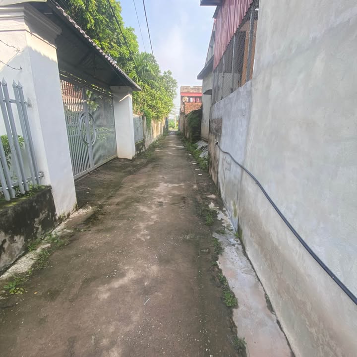Đất nền phường Châu Giang, Mỹ Hào 102m² - Cơ hội đầu tư hấp dẫn!