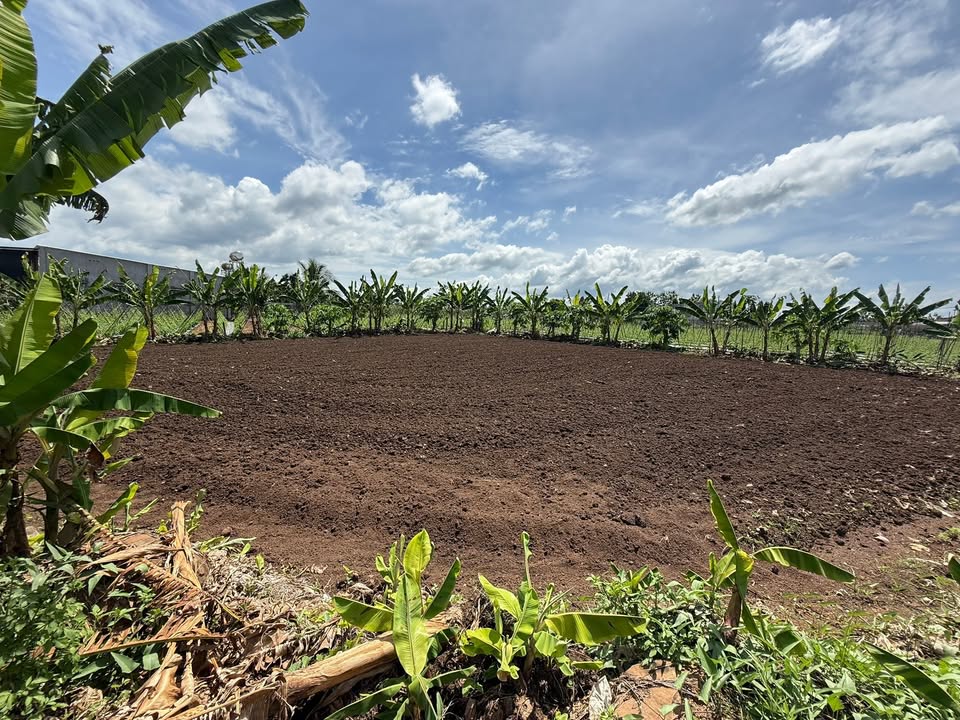 Đất nền Suối Nho 360m² giá 1.2 tỷ - Không khí trong lành, dân cư đông đúc!