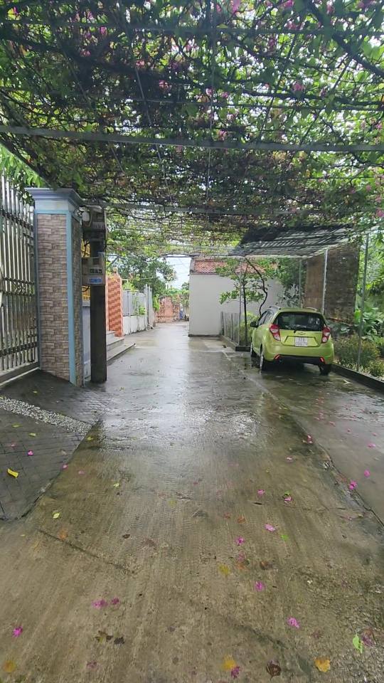 Đất nền lô góc 228m² xã Tam Quang Vũ Thư - Giá chỉ 900 triệu, sổ đỏ chính chủ!