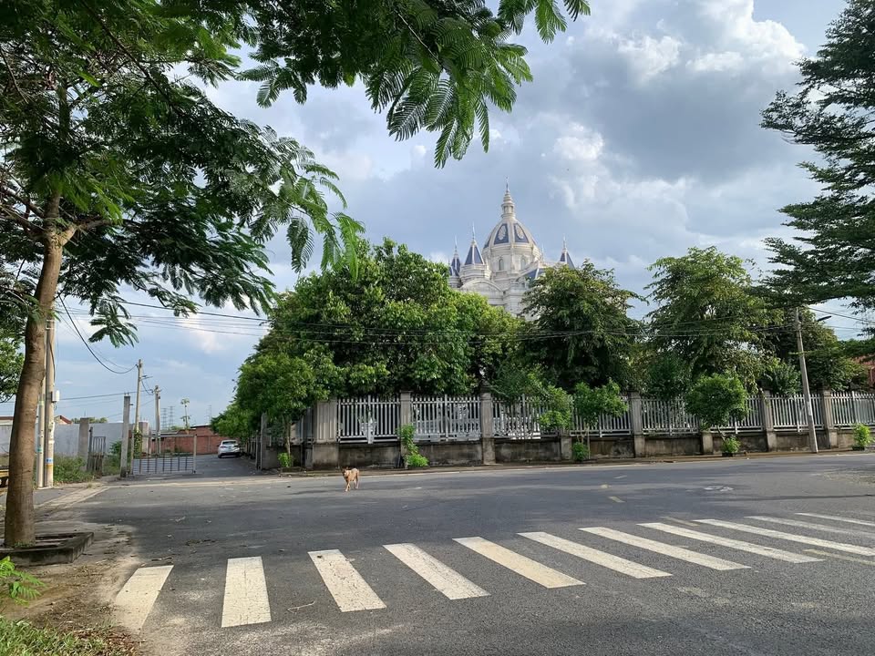 Đất lô góc 157.5m² tại An Phước, Long Thành - Giá chỉ 3.8 tỷ VND, cơ hội đầu tư tuyệt vời!