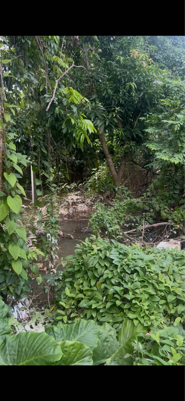 Đất nền Ngõ 281 đường Phú Diễn 250m² giá 5 tỷ - Cơ hội đầu tư hấp dẫn!