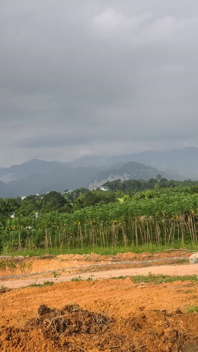 Đất nền Sào Báy Kim Bôi 1336m² giá 3 tỷ - Đầu tư tiềm năng với 2 mặt đường!