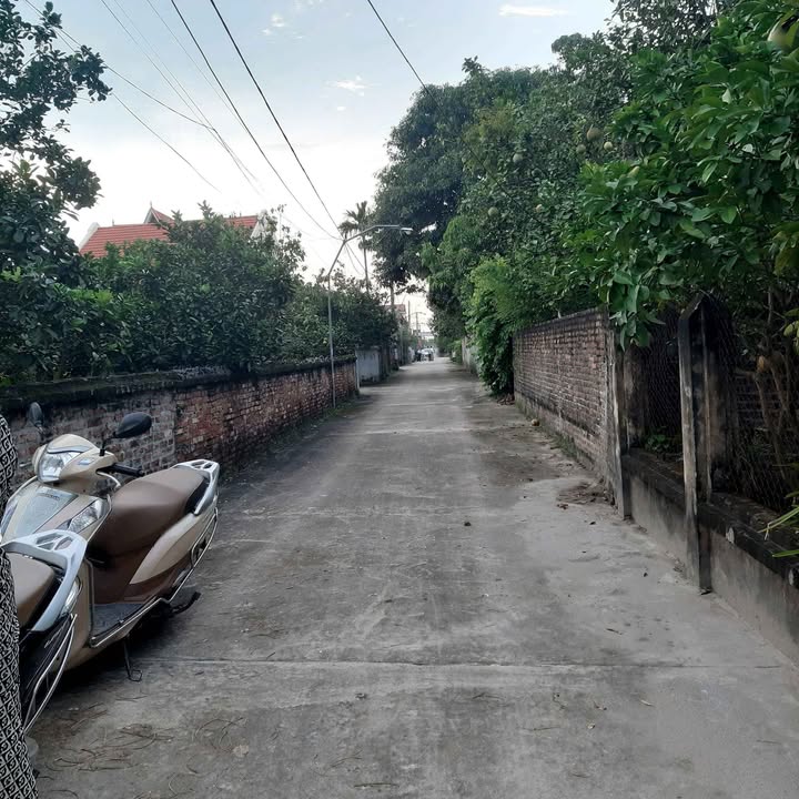 Đất nền đẹp tại thôn Tân Hưng, xã Yên Phú, 121m² - Đầu tư sinh lời ngay!