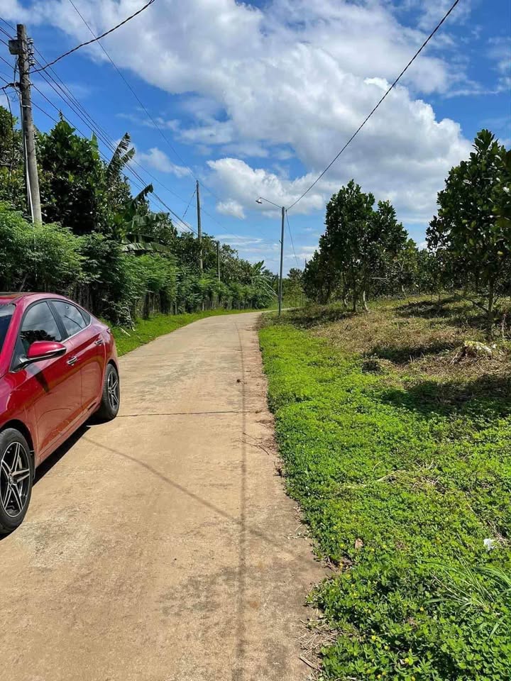 Đất nền thổ cư 200m² tại Phú Tân, Đồng Nai giá 390 triệu - Bớt lộc cho khách thiện chí!