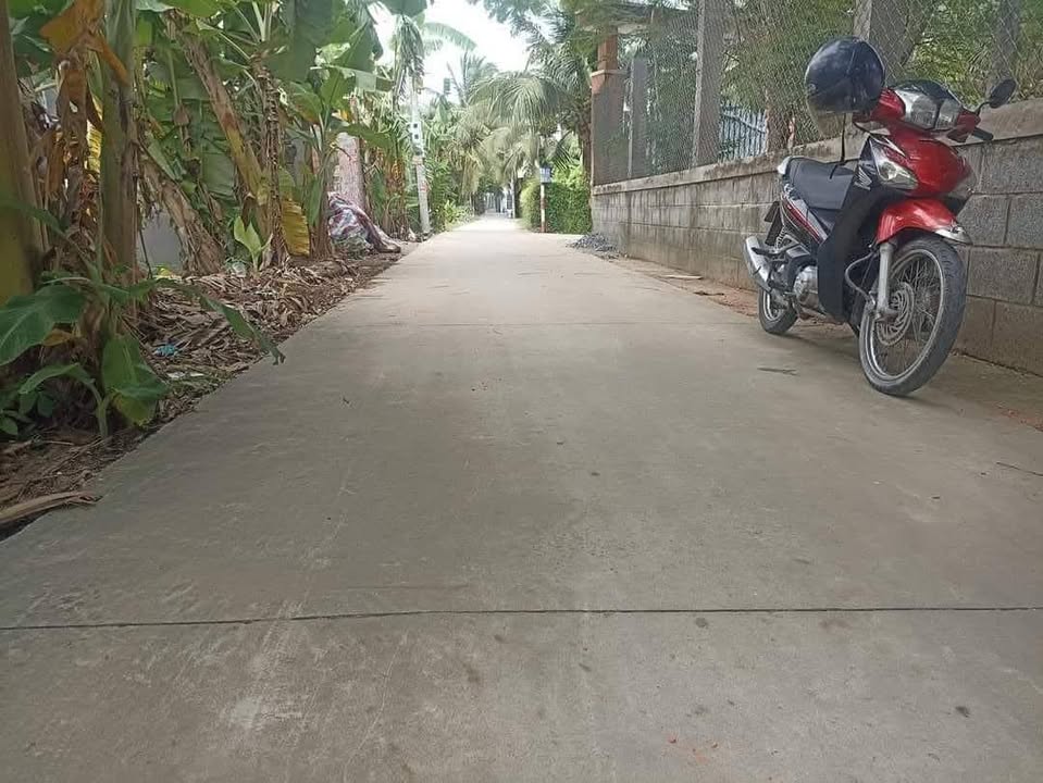 Đất nền 2 nền ấp 4 Trung An, TP Mỹ Tho 100m² giá chỉ 730 triệu - Cơ hội đầu tư tuyệt vời!