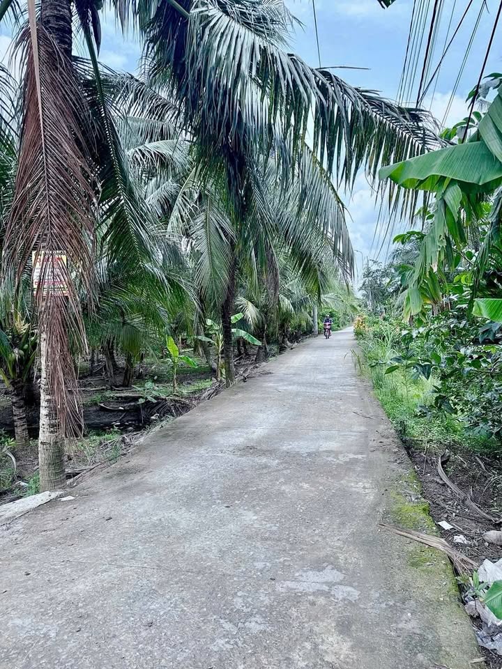 Đất mặt tiền Bà Tư Gạo, Phường Trung An, 150m² giá 1 tỷ - Đầu tư sinh lời ngay!