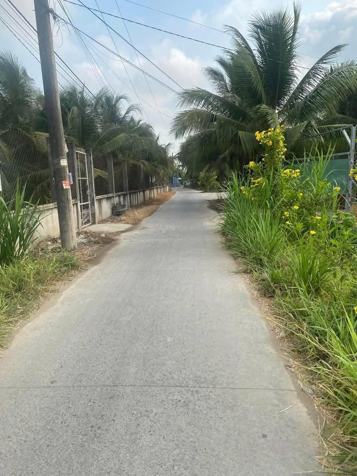 Đất thổ cư Tân Phú, Tân Hiệp 102m² giá chỉ 500 triệu - Cơ hội đầu tư tuyệt vời!