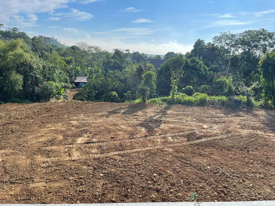 Đất thổ cư 2100m² Thôn Quýt - Yên Bài - Ba Vì, Giá thỏa thuận - Cơ hội vàng đầu tư!