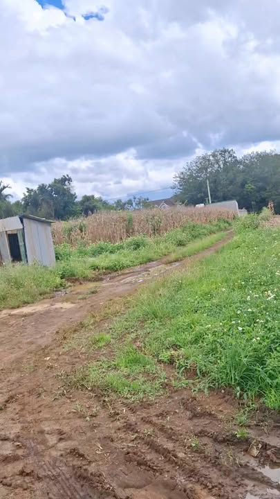 Đất hẻm 242 Dã Tượng, Tân An, 540m² - Giá chỉ 1.6 tỷ, sổ đỏ chính chủ!