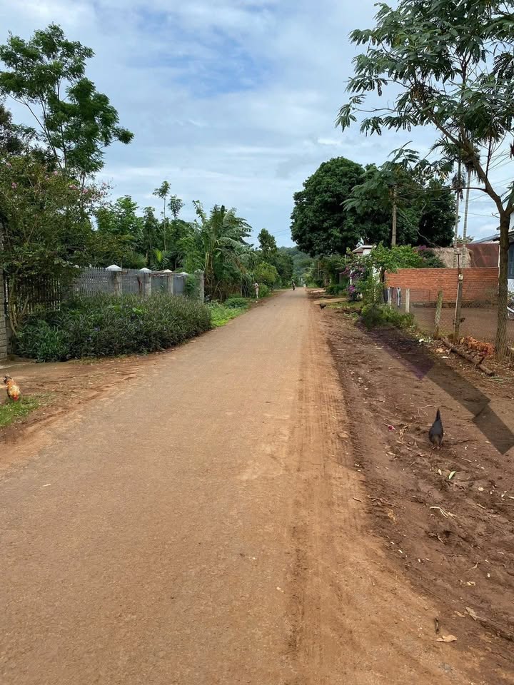 Đất nền Cư Kuin Đắk Lắk 150m² giá chỉ 300 triệu - Sổ đỏ chính chủ