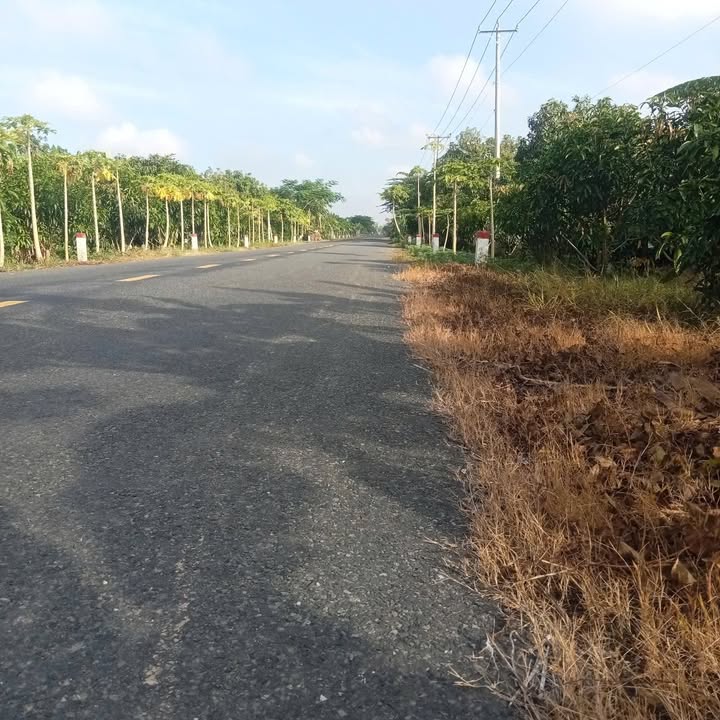 Đất CLN đường Ven Sông Tiền, phường Cao Lãnh 1205m² giá 3 tỷ - Đầu tư sinh lời