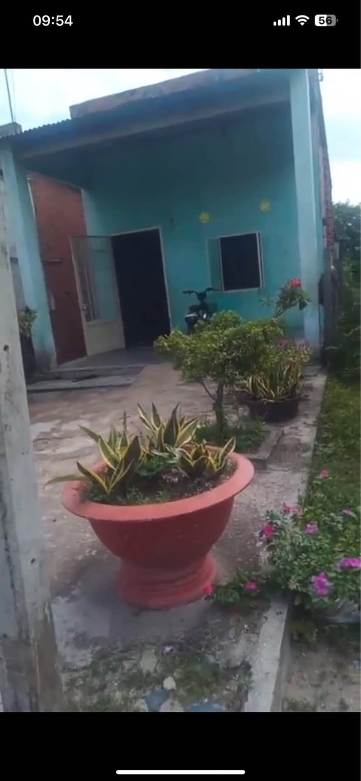 Đất nền Tân Phú, Tân Châu 230m² giá 310 triệu - Cơ hội đầu tư tuyệt vời!