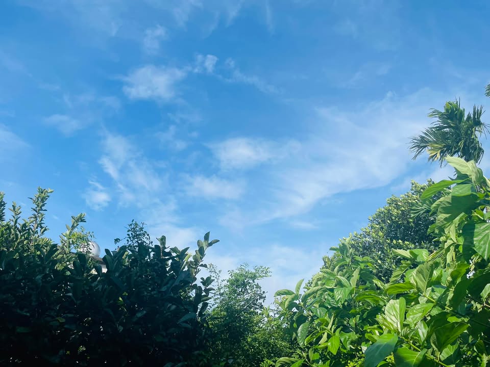 Lô đất Nguyên K153 Bình Kỳ, Ngũ Hành Sơn 81m² giá 2.95 tỷ - Đầu tư sinh lời lý tưởng!