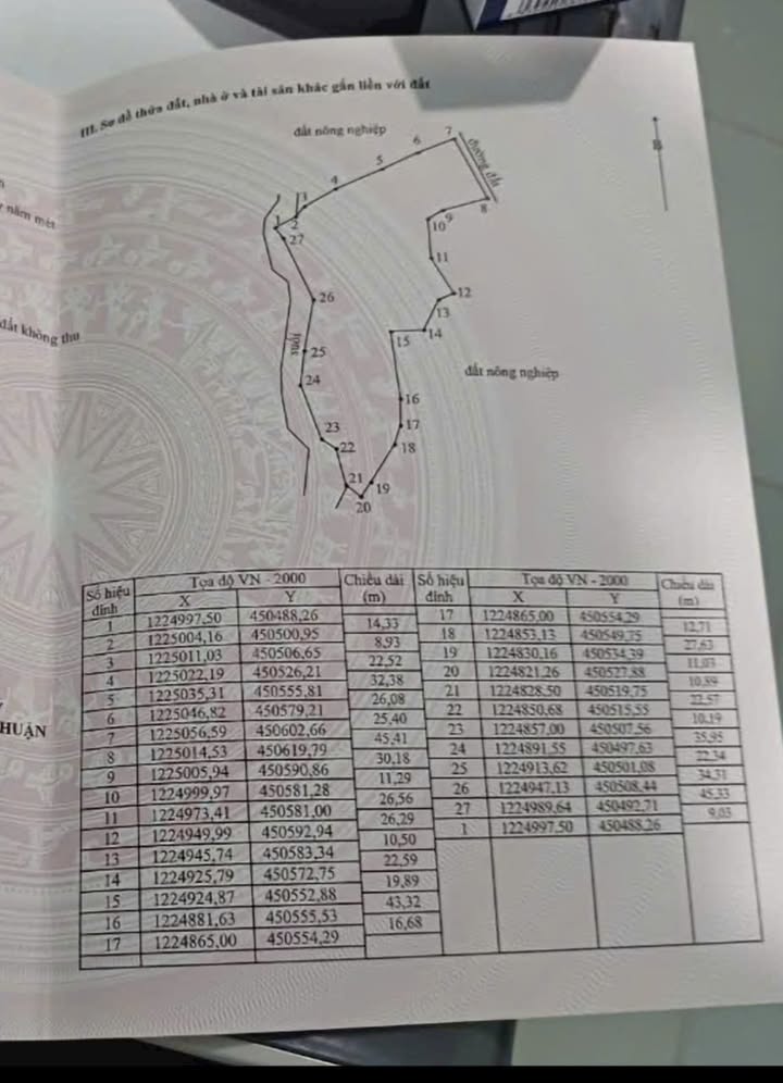 Farm 14.400m² tại Thuận Minh, Hàm Thuận Bắc - Giá chỉ 800 triệu!