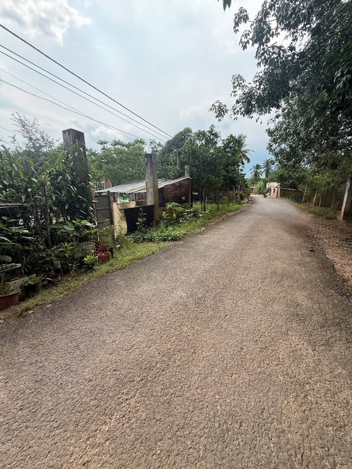 Đất nền Tân Thạnh, Tân Biên, Tây Ninh 396m² giá 1.782 tỷ - Khu dân cư sầm uất!