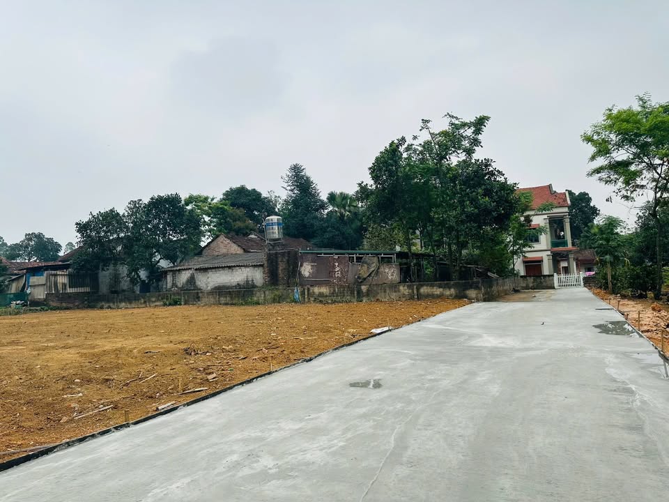 Đất liền kề khu phố 4, Thanh Đình 151m² giá chỉ 1.2 tỷ - Cơ hội đầu tư hấp dẫn!