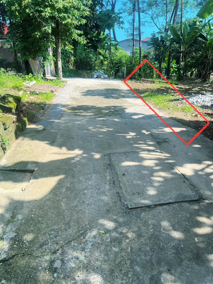 Đất thổ cư 117m² phường Nông Trang, Việt Trì - Ô tô vào tận nơi chỉ 2.6 tỷ!