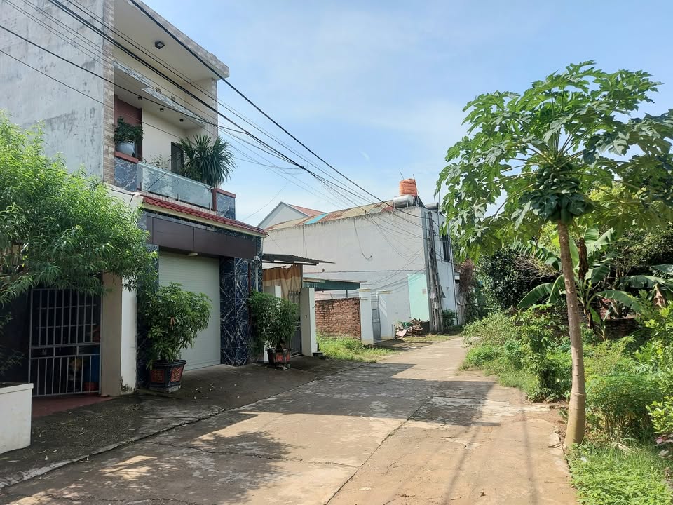 Đất thổ cư 70m² đường Vũ Thê Lang 114m² giá 3 tỷ - Đường thông ô tô tránh nhau!